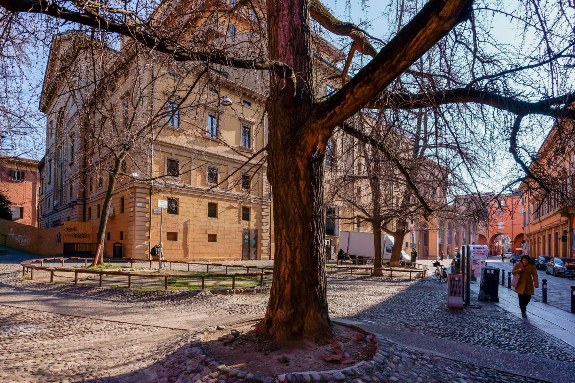 Zamboni 58 Apartment - Zona Movida Болонья Экстерьер фото